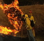 Fire